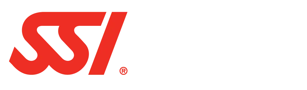 SSI Professional Logo