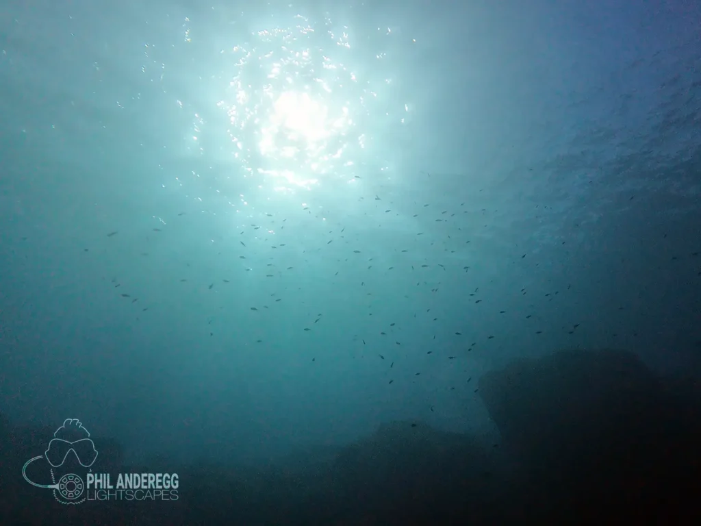 Swarm of Fish in the Sunlight in Menorca, Spain