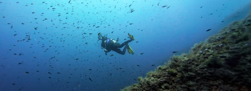 Diving Instructor Marina of Diving Menorca watching a school of fish