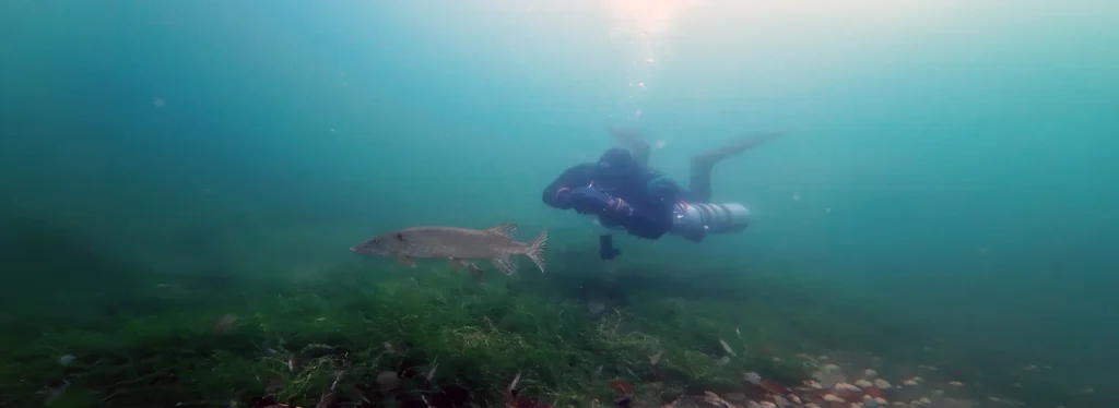 Sidemount diver at Echinger Weiher, Bavaria, Germany